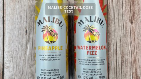 Malibu Cocktail aus der Dose Testbericht – Malibu Getränk im Test