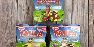 Paula Pudding Produkttest – Der beliebte Kinderpudding im Test
