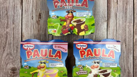 Paula Pudding Produkttest – Der beliebte Kinderpudding im Test